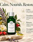 Night Repair Elixir