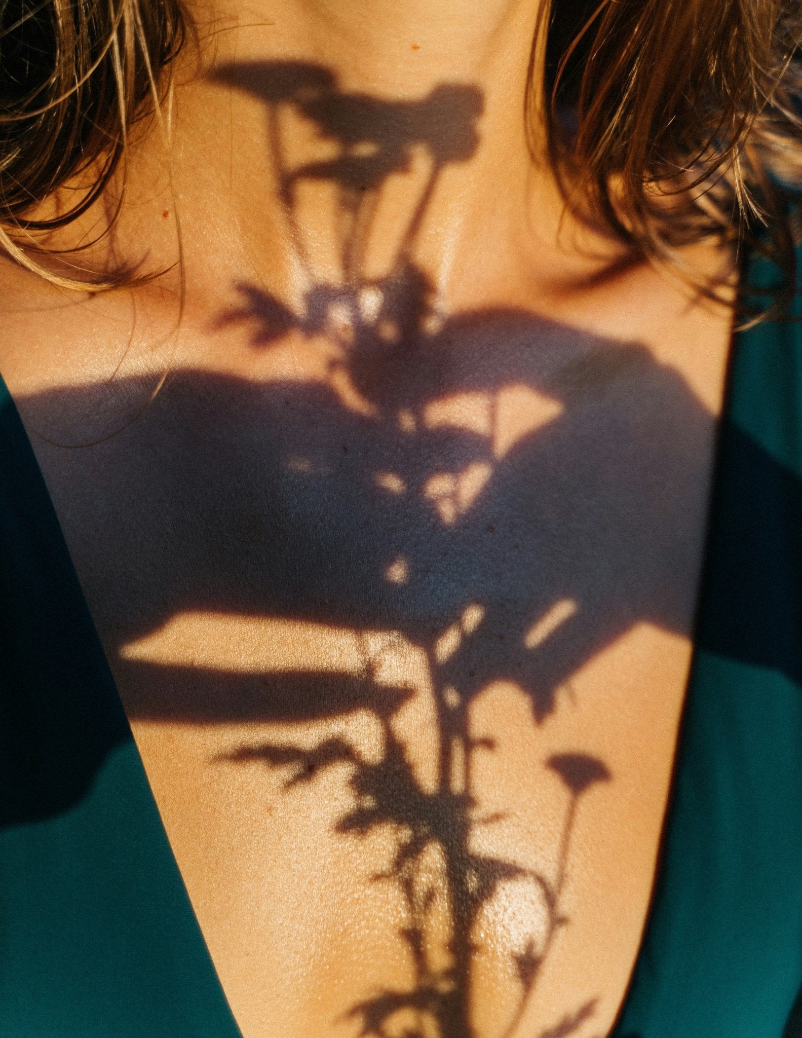 Why Plant-Based Skincare Will Overtake Synthetic Skincare in 2025 - Sapphire Botanics